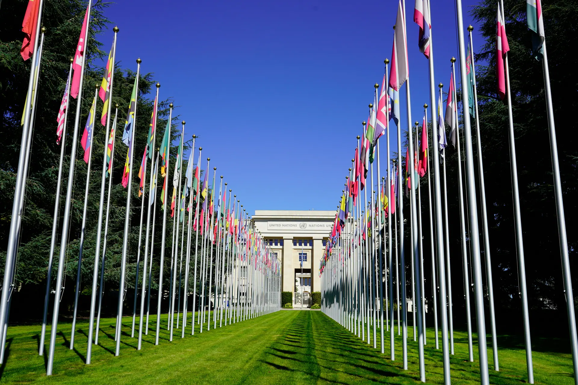 Diplomatic Corps